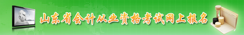 會計從業(yè)