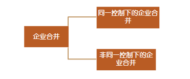 高級(jí)會(huì)計(jì)實(shí)務(wù)