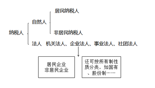 注冊會計師