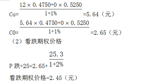 期權(quán)價(jià)值評(píng)估2