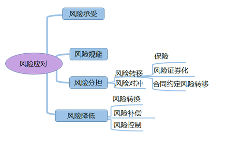 高級(jí)會(huì)計(jì)實(shí)務(wù)