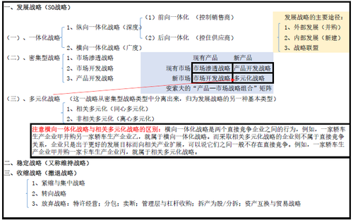 總體戰(zhàn)略類型