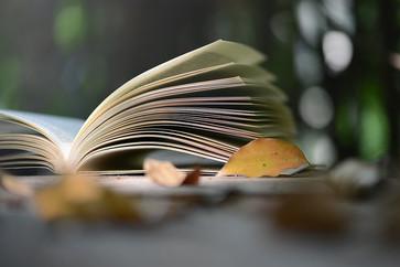 高級(jí)會(huì)計(jì)師輕松過關(guān)輔導(dǎo)書考點(diǎn)地圖有什么用,？