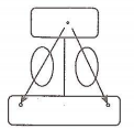 縱橫向分工結(jié)構(gòu)2