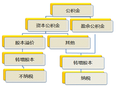 股權(quán)溢價(jià)形成資本公積轉(zhuǎn)增股本