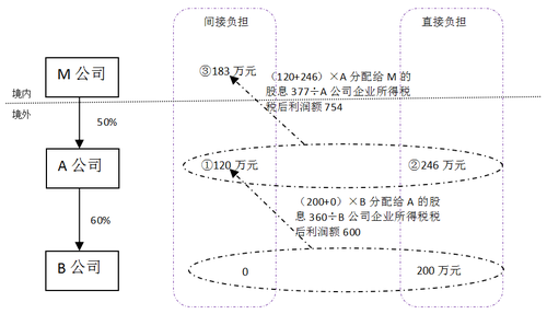 境外所得稅間接負(fù)擔(dān)稅額5