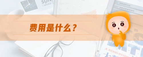 費(fèi)用是什么
