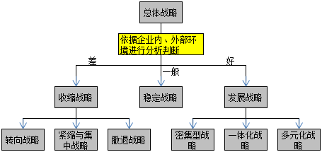 總體戰(zhàn)略類型