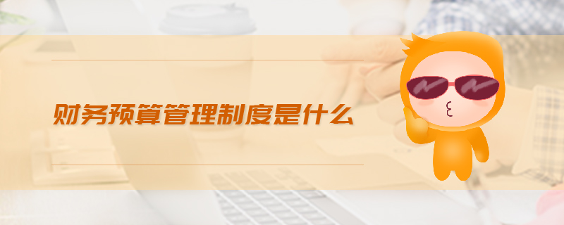財務(wù)預(yù)算管理制度是什么
