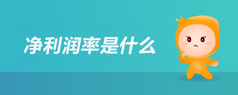 凈利潤率是什么