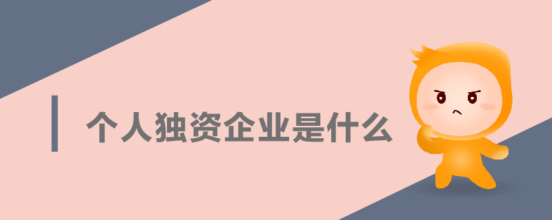 個人獨(dú)資企業(yè)是什么