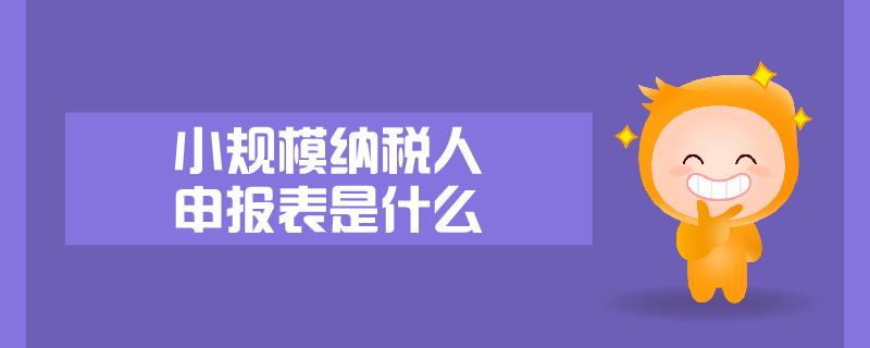 小規(guī)模納稅人申報(bào)表是什么