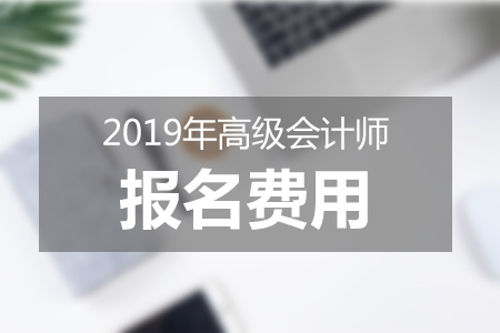 2019年高級會計師報名費用