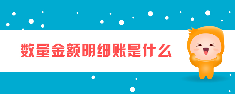 數(shù)量金額明細(xì)賬是什么