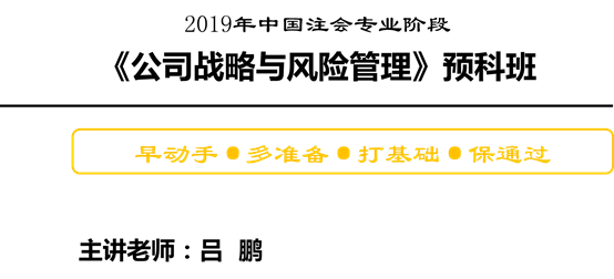 公司戰(zhàn)略與風險管理