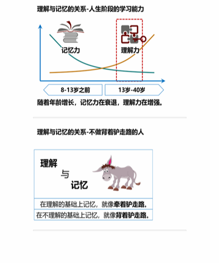 cpa稅法