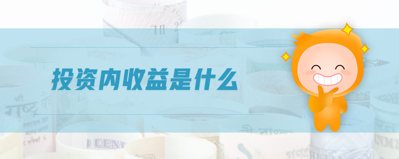 投資內(nèi)收益是什么
