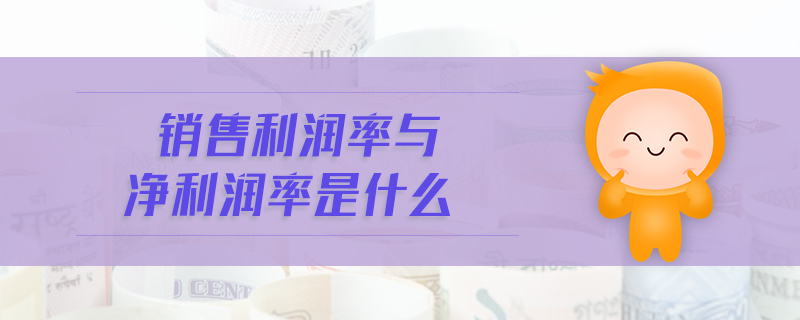 銷售利潤率與凈利潤率是什么