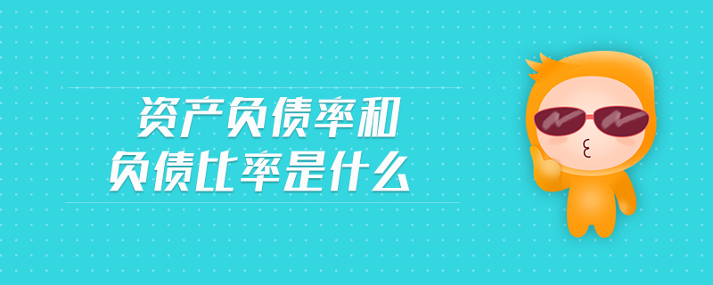 資產負債率和負債比率是什么