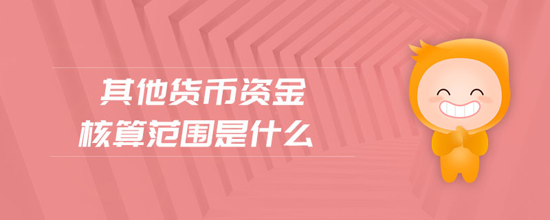 其他貨幣資金核算范圍是什么