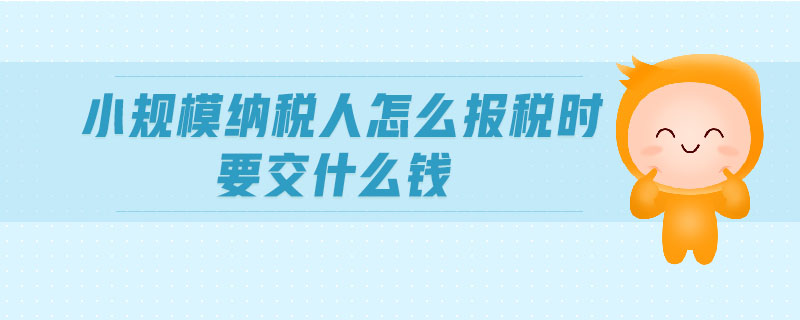 小規(guī)模納稅人怎么報稅時要交什么錢