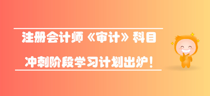 2019年注冊會計師《審計》科目沖刺階段學(xué)習(xí)計劃