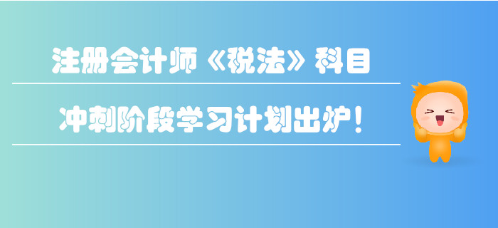 2019年注冊(cè)會(huì)計(jì)師《稅法》科目沖刺階段學(xué)習(xí)計(jì)劃