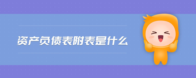 資產(chǎn)負(fù)債表附表是什么