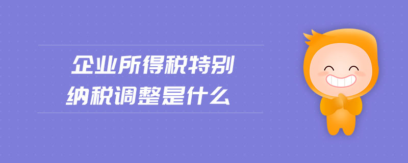 企業(yè)所得稅特別納稅調(diào)整是什么