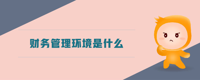 財(cái)務(wù)管理環(huán)境是什么