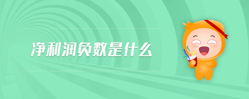 凈利潤負(fù)數(shù)是什么