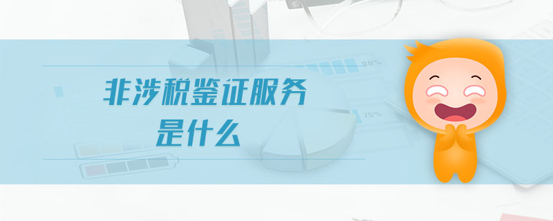 非涉稅鑒證服務是什么
