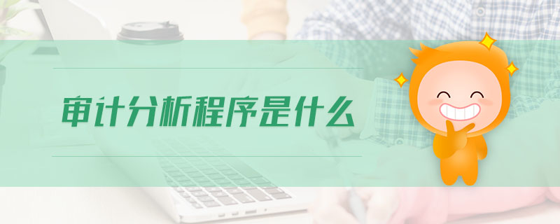審計分析程序是什么