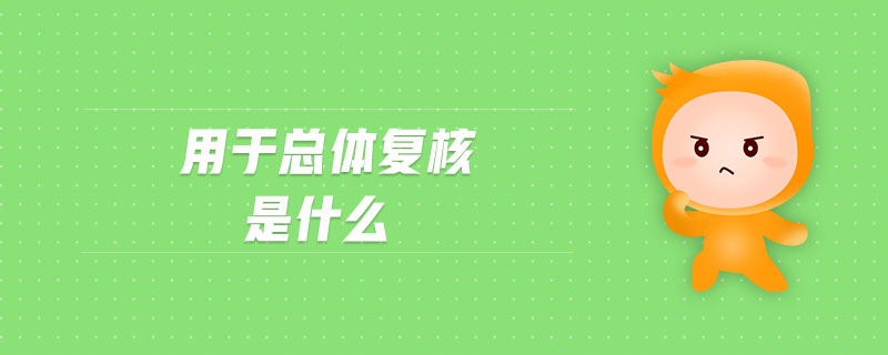 用于總體復(fù)核是什么