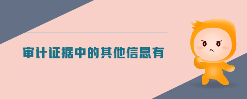 審計(jì)證據(jù)中的其他信息有