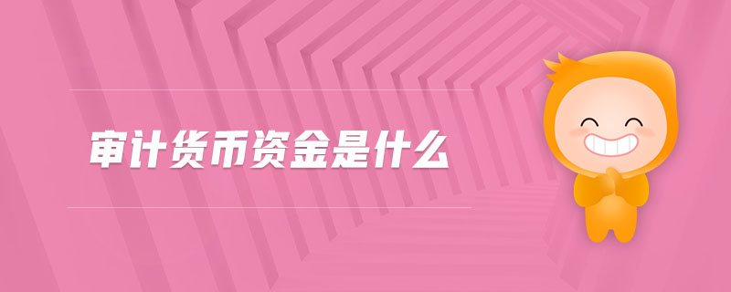 審計貨幣資金是什么