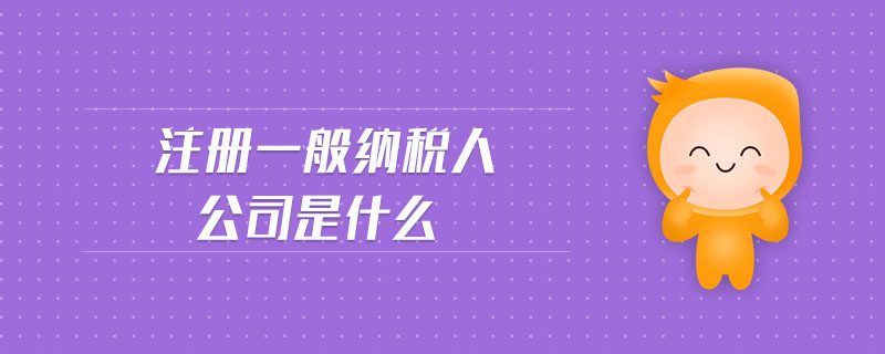 注冊(cè)一般納稅人公司是什么