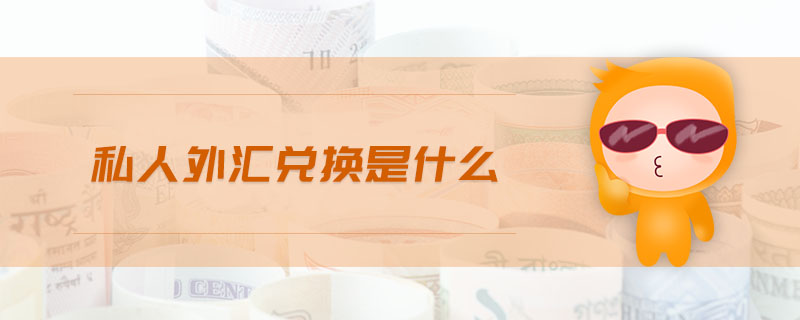 私人外匯兌換是什么
