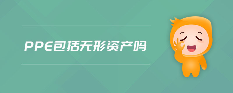 ppe包括無(wú)形資產(chǎn)嗎