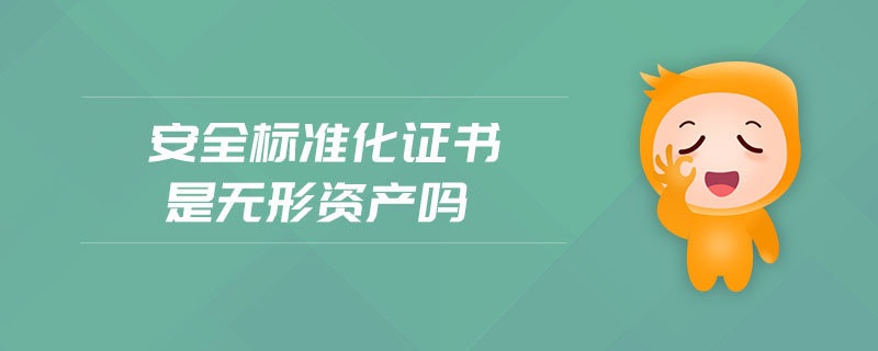 安全標(biāo)準(zhǔn)化證書(shū)是無(wú)形資產(chǎn)嗎