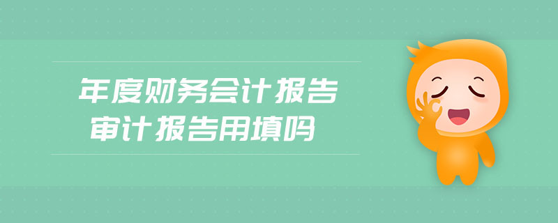 年度財(cái)務(wù)會(huì)計(jì)報(bào)告審計(jì)報(bào)告用填嗎