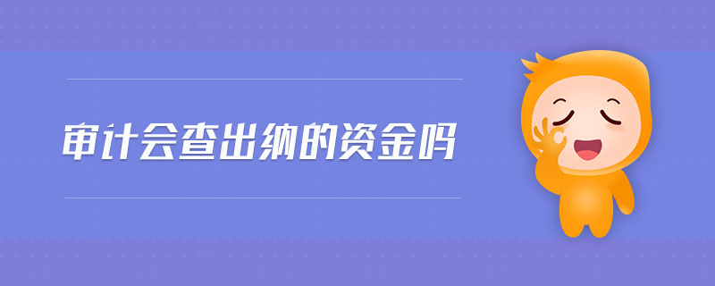 審計(jì)會(huì)查出納的資金嗎