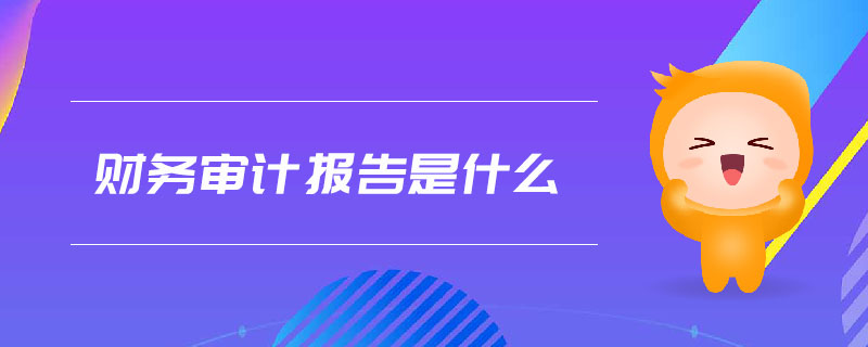 財(cái)務(wù)審計(jì)報(bào)告是什么