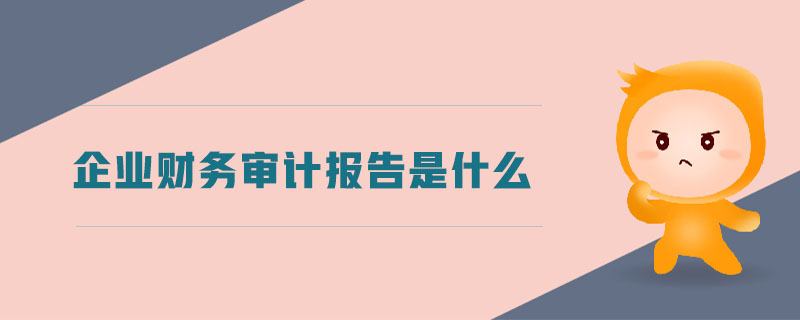 企業(yè)財(cái)務(wù)審計(jì)報(bào)告是什么