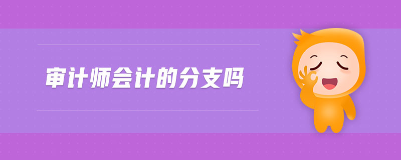 審計(jì)師會(huì)計(jì)的分支嗎