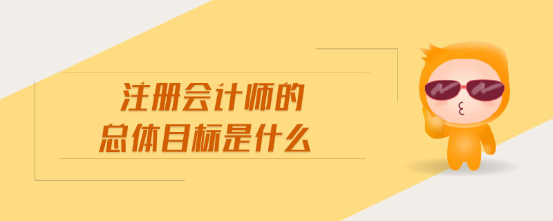注冊(cè)會(huì)計(jì)師的總體目標(biāo)是什么