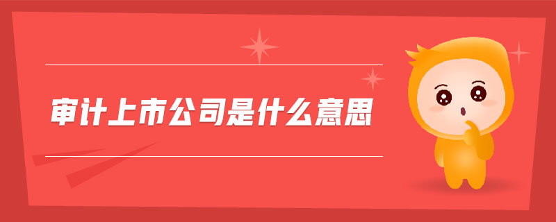 審計上市公司是什么意思