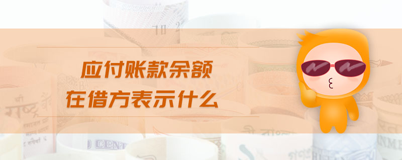 應(yīng)付賬款余額在借方表示什么