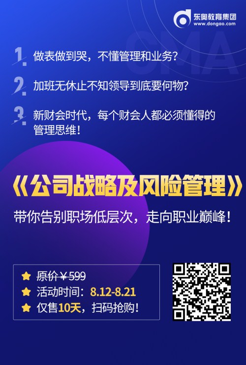 公司戰(zhàn)略及風(fēng)險管理