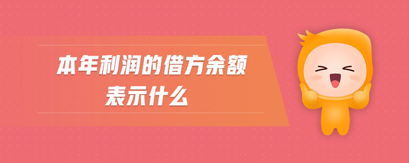 本年利潤的借方余額表示什么